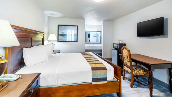 1 King Bed Deluxe w/Sofabed Photo 3