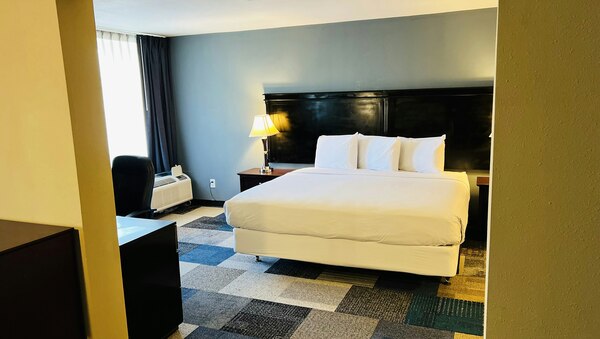 1 King Bed wtih Kitchen Suite Photo 1